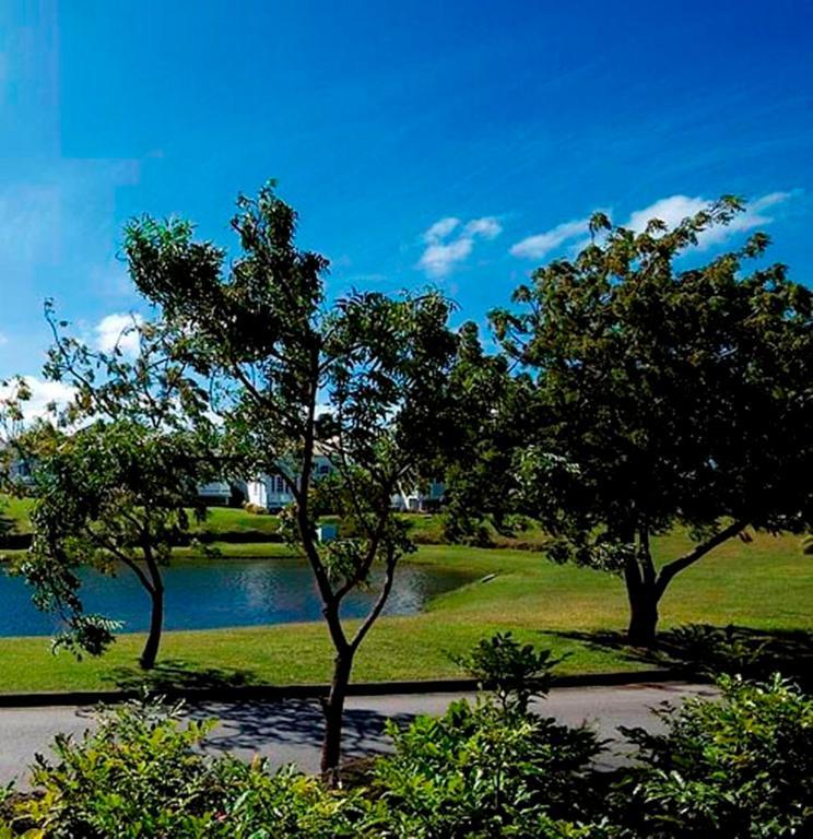 Coconut Grove 1, Luxury Villa By Island Villas Saint James Exteriér fotografie